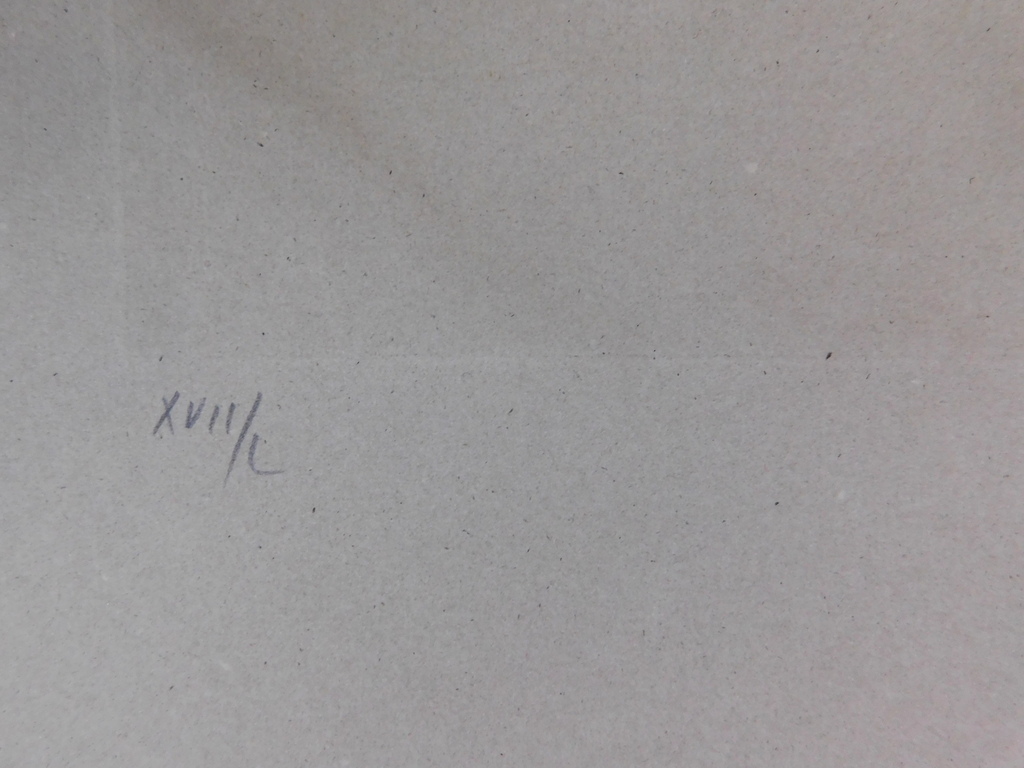 Leonor Fini - Leonor Fini - Ets kopen? Bied vanaf 10!