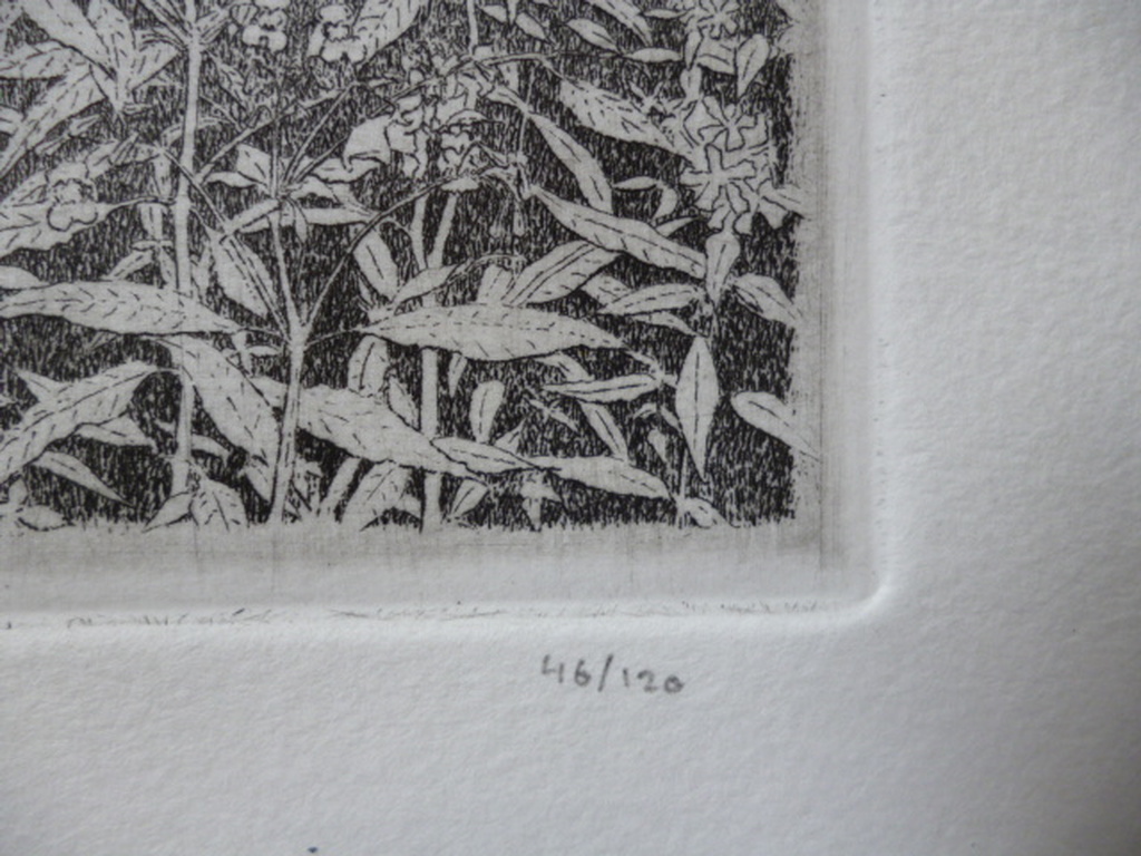 Philip Wiesman - ets - Lommerrijke omgeving kopen? Bied vanaf 40!