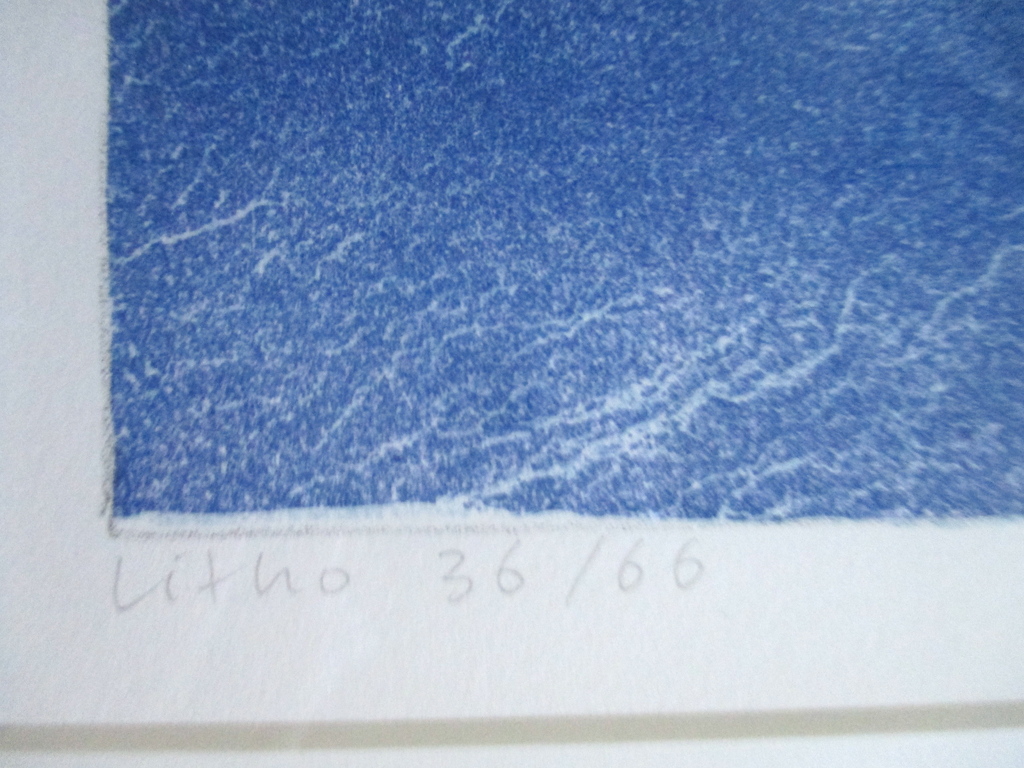 Lon Buttstedt, ingelijste litho 'Himalaya blues V', Barth lijst kopen? Bied vanaf 50!