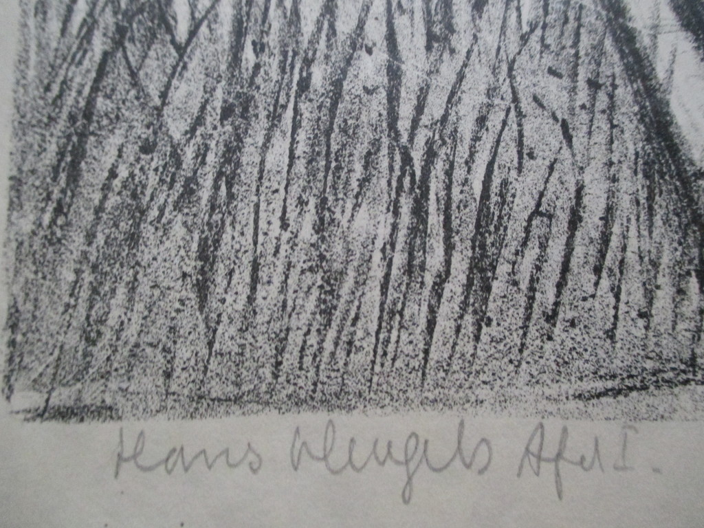 Hans Vleugels, litho kopen? Bied vanaf 15!