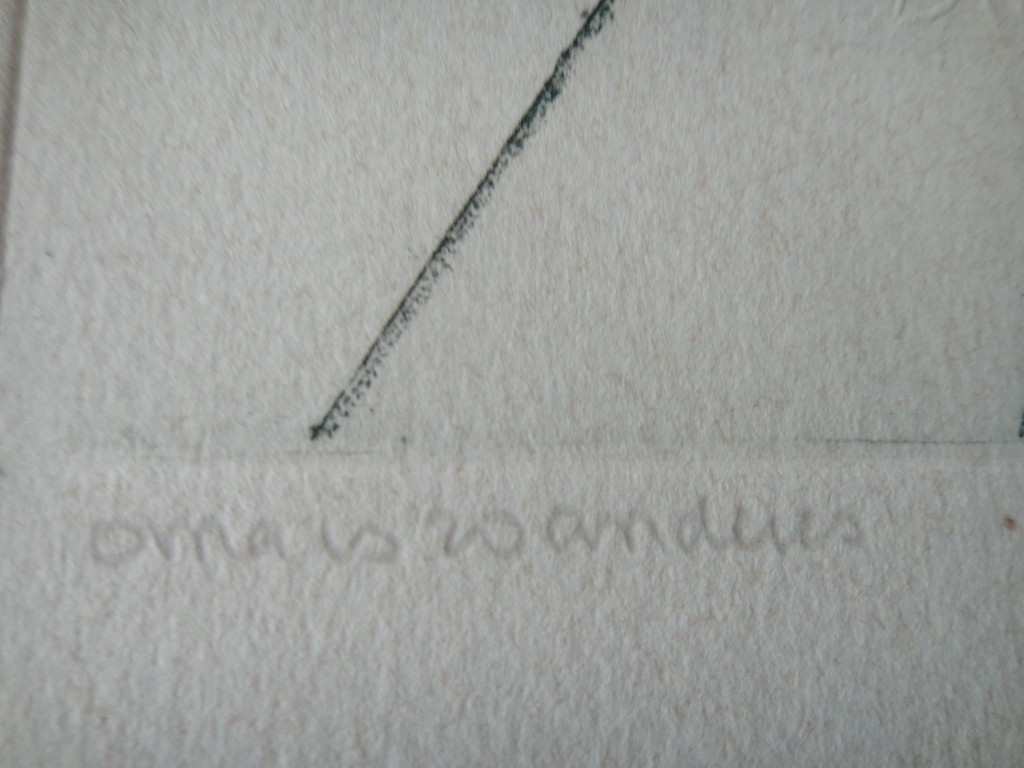 Carla Kleekamp (1937) , kleurenets , 'oma is zo anders' kopen? Bied vanaf 1!