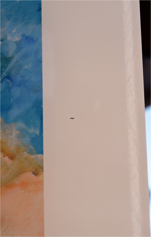 Armando, "Seestück" op plexiglas, gesigneerd, oplage 25, 2015 kopen? Bied vanaf 1!