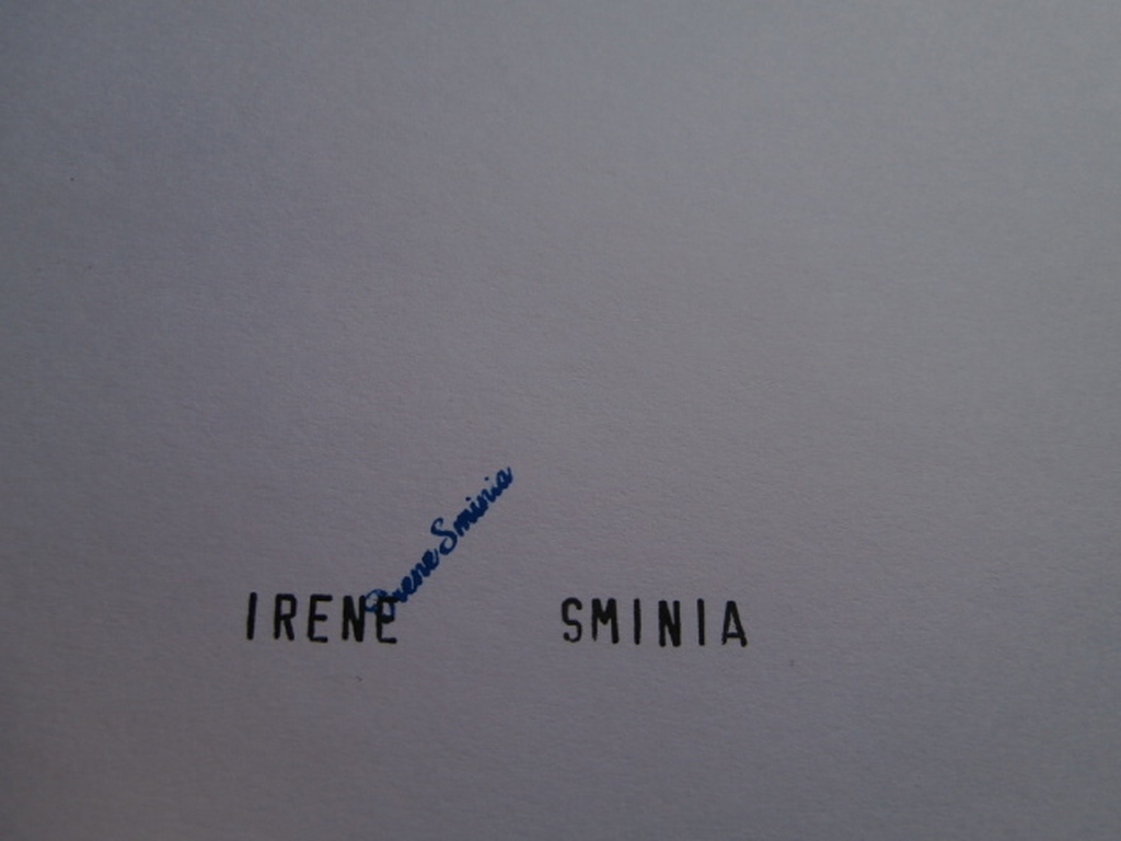 irene sminia * vijfde landschap * digitale grafiek kopen? Bied vanaf 49!