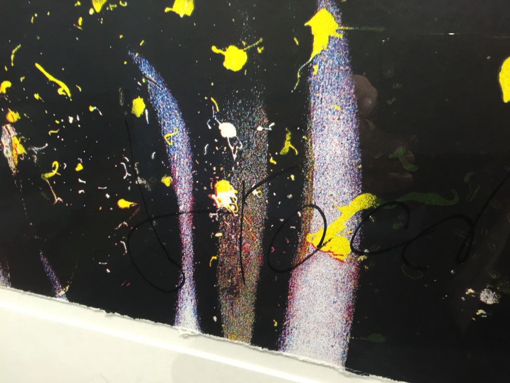 HERMAN BROOD  Unieke hand gesigneerde zeefdruk kopen? Bied vanaf 1!