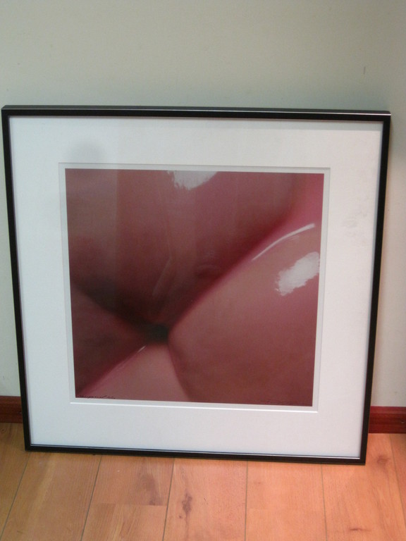 Paul Blanca ( 1958 - ) gesigneerde foto "Princesse Glace" 2008 verkocht voor € 85!