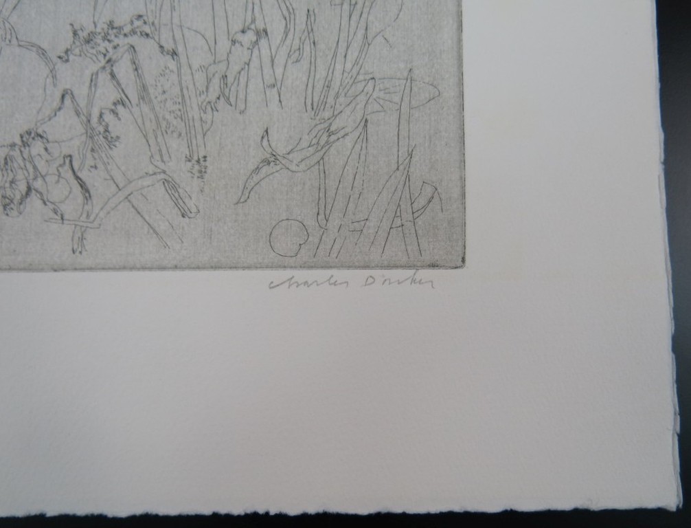 Charles Donker: Ets, Plantenstudie kopen? Bied vanaf 100!