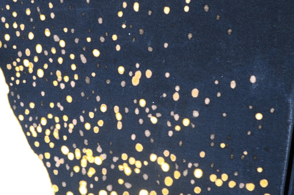 Bert Vredegoor: Spraypaint op fluweel, A place to be - Ingelijst (groot) kopen? Bied vanaf 80!