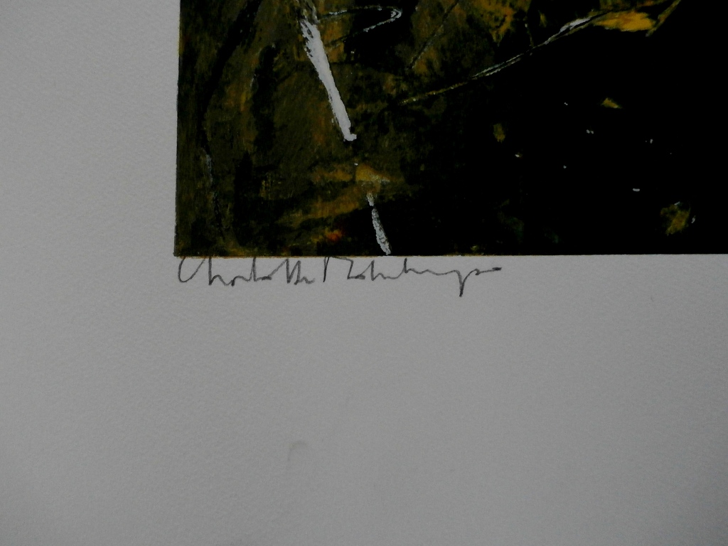 Charlotte Molenkamp - zeefdruk: Zomer kopen? Bied vanaf 99!