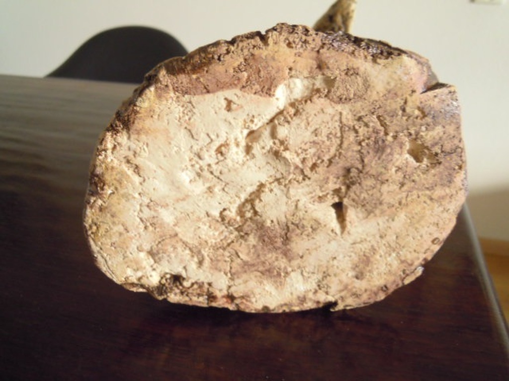 Beeld vrouwelijk naakt 35 cm hoog - hand gemaakt -niet gesigneerd   kopen? Bied vanaf 65!