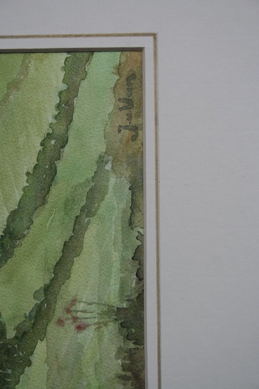 Jaap van Veen, aquarel, landschap bij Séguret Provence, gesigneerd kopen? Bied vanaf 10!