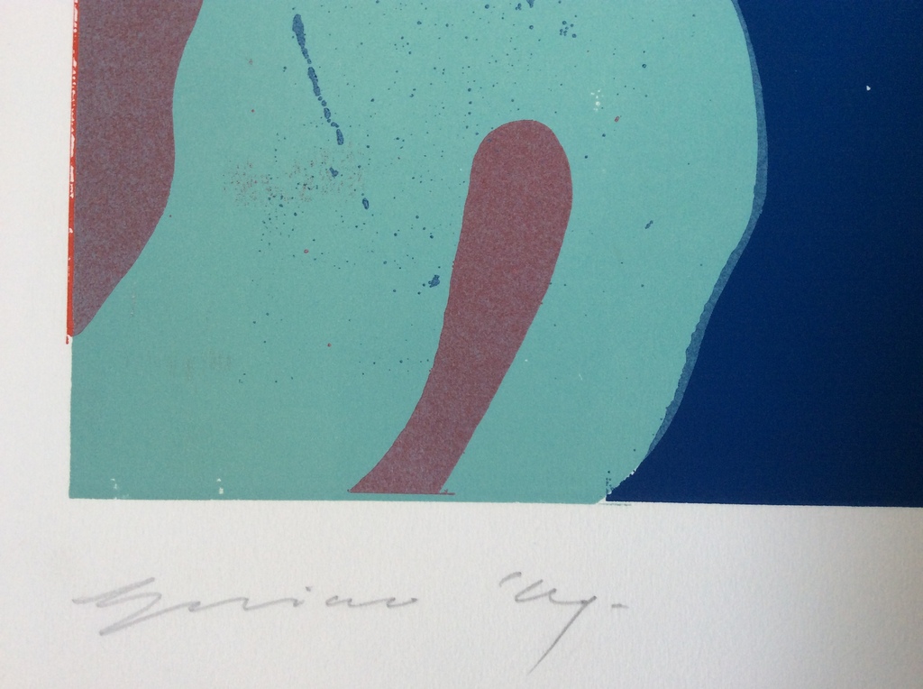 Kunstenaar onbekend - zeefdruk, gesigneerd kopen? Bied vanaf 19!