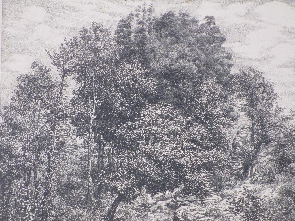 Dirk van Gelder, Bos met stroompje en vegetatie, Litho kopen? Bied vanaf 55!