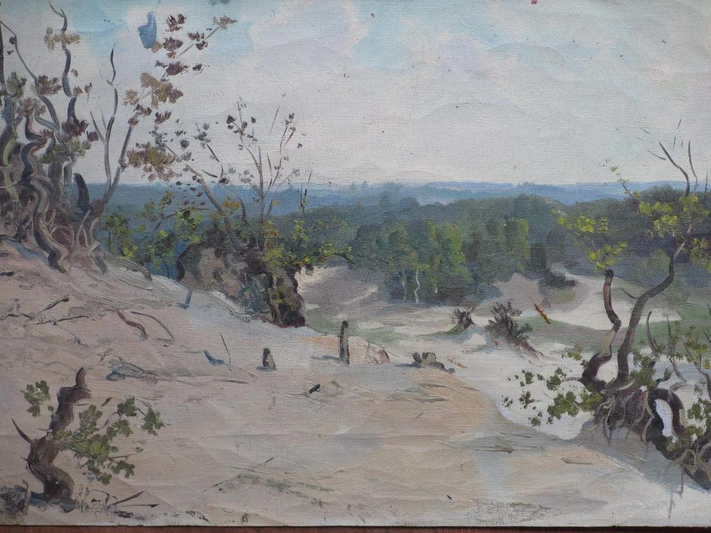 Pierre Hoeks, Duinlandschap, Olie op doek verkocht voor € 40!