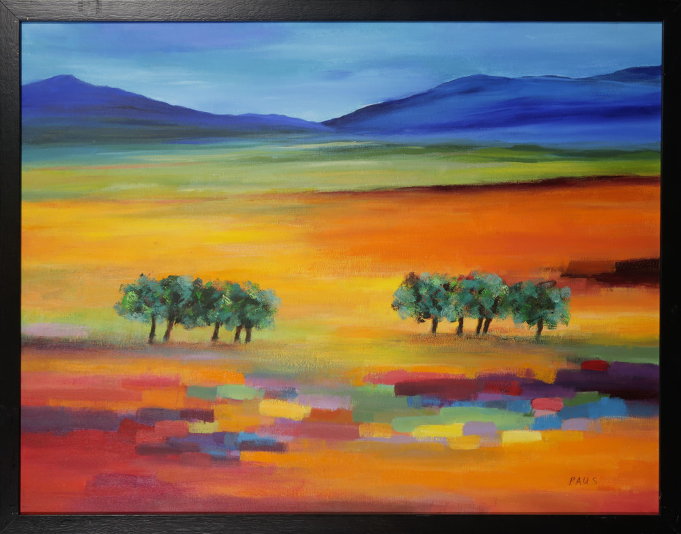 Hans Paus: Olieverf op Doek, Landschap - Ingelijst verkocht voor € 390!