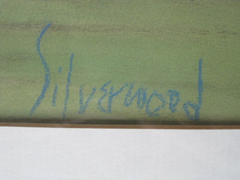 Mary Silverwood *  pastel landschap "los Alamos new Mexico USA" gesigneerd   kopen? Bied vanaf 1!
