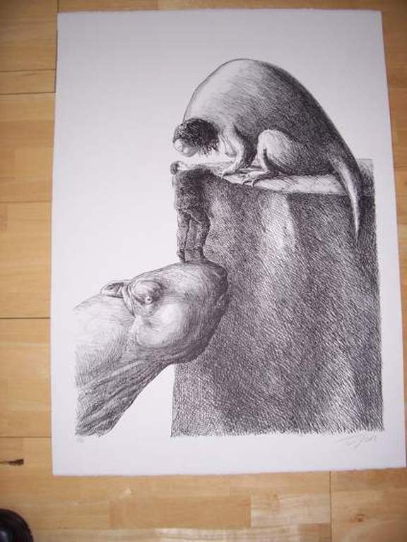 Roland Topor, litho, Aide verkocht voor € 80!