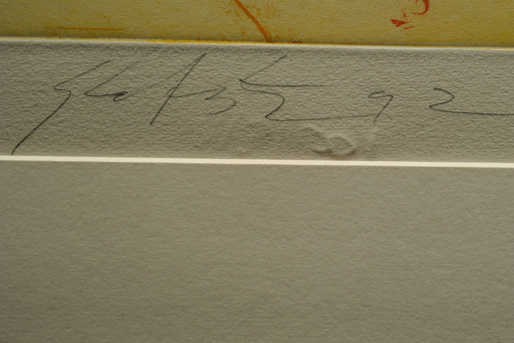 GER LATASTER. Grote Kleurenets z.t.1992. Handgesigneerd/genummerd  Oplage 25/35 kopen? Bied vanaf 165!