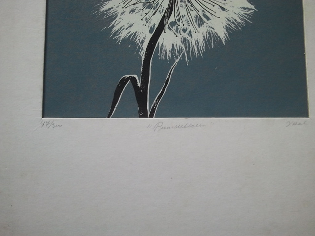 Ray Daal de paardenbloem  kopen? Bied vanaf 1!