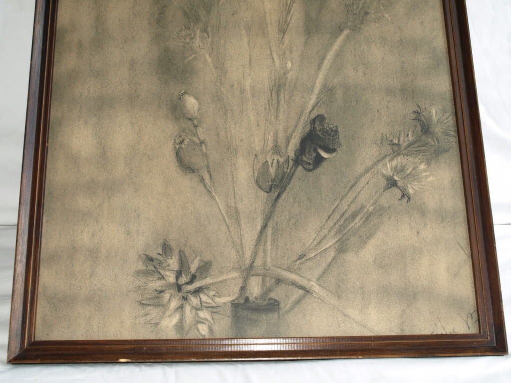 Onbekend : Tekening conté-potlood , Wilde bloemen – Gesigneerd & ingelijst  kopen? Bied vanaf 1!
