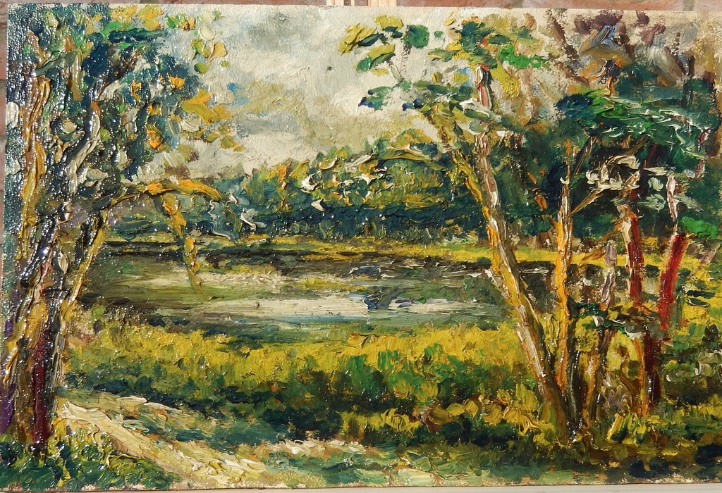 Bosgezicht met een ven kopen? Bied vanaf 25!