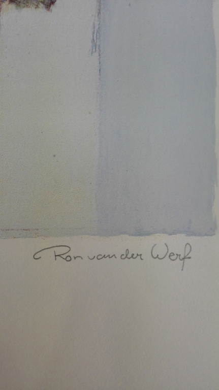 Ron van der Werf, zeefdruk op papier, Titel: Etude II kopen? Bied vanaf 40!