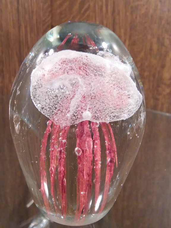 Presse-papier Jellyfish kopen? Bied vanaf 1!