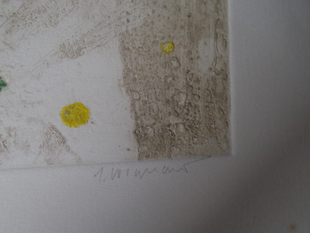 Zonder titel, lithografie, handgesigneerd rechts , afmeting 50 x 66,  kopen? Bied vanaf 80!