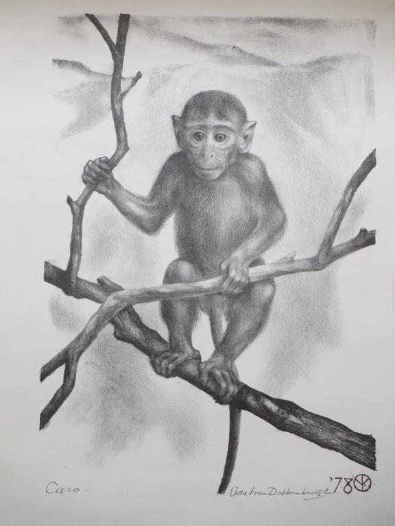 Aart van Dobbenburgh, Aapje, Litho 1978 verkocht voor € 45!