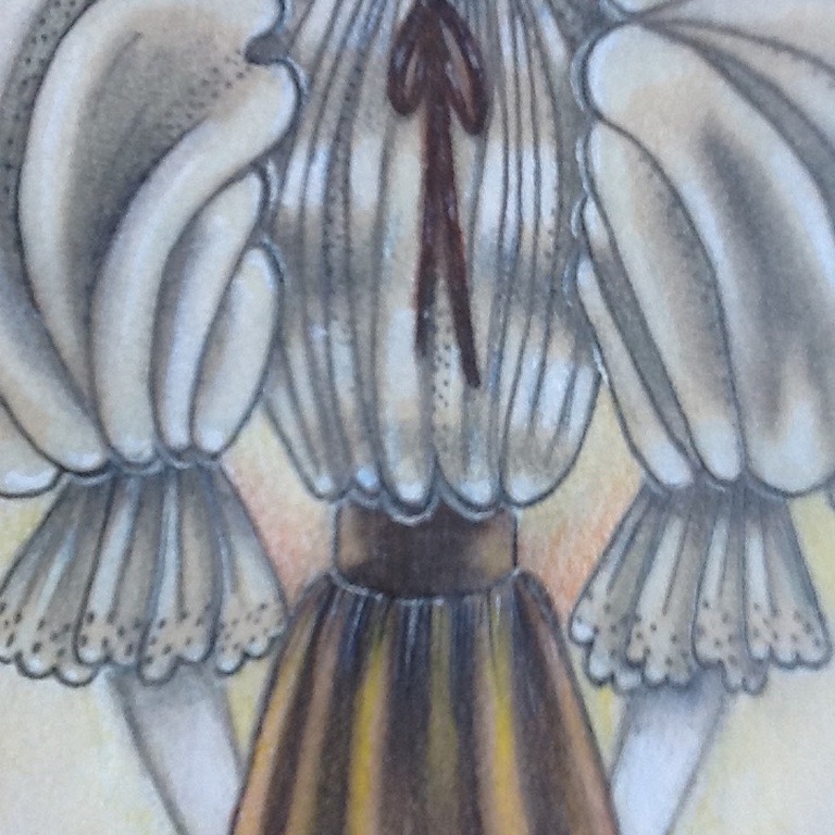 Leni Linthout, kleur tekening, filmster 30ger jaren kopen? Bied vanaf 1!