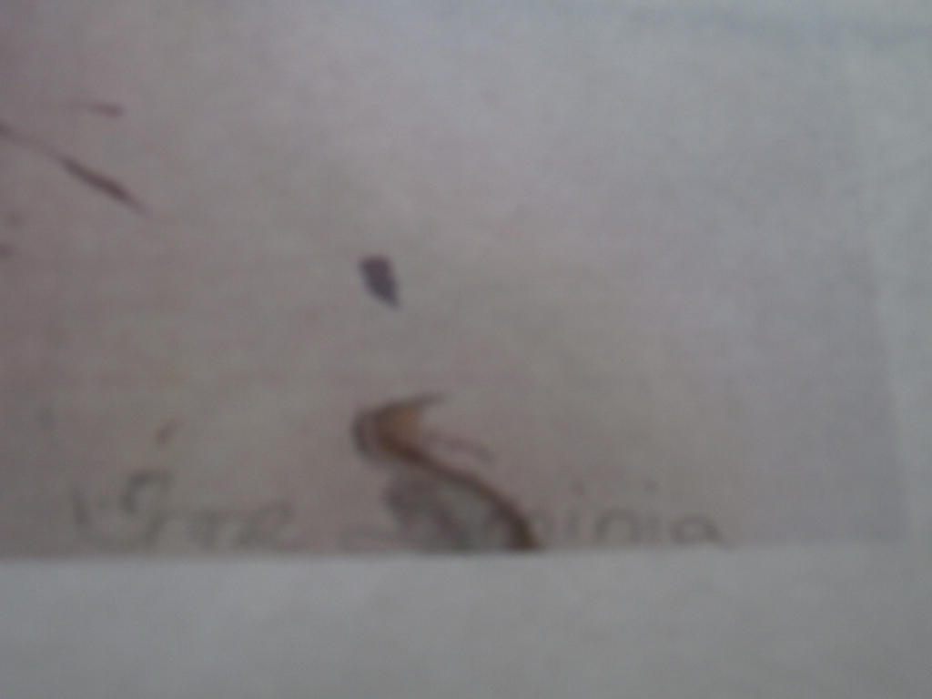  irene sminia*foto van shirley temple pop* kopen? Bied vanaf 35!