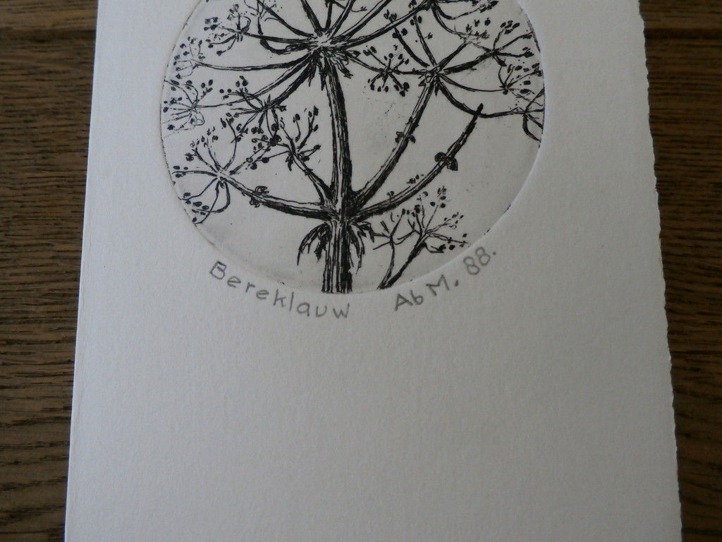 Ab. M. - ets: Bereklauw - 1988 kopen? Bied vanaf 1!