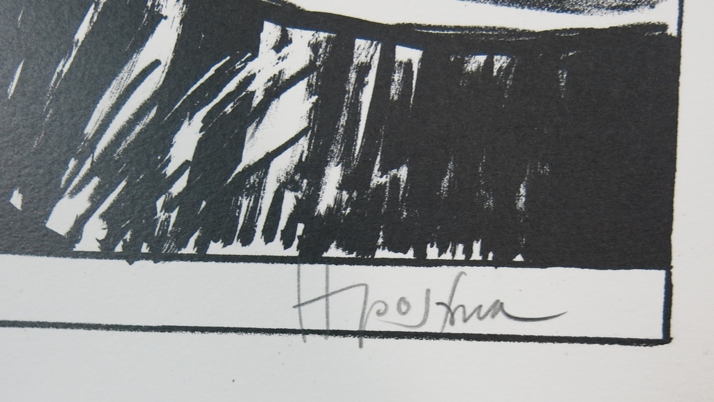 Hannes Postma: Litho, Parthendgenese kopen? Bied vanaf 35!
