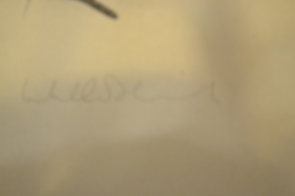 Dirkje Kuik, litho kopen? Bied vanaf 50!