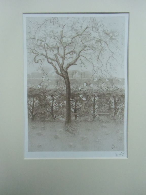 BOOMPJE IN BLOEI   ///   LITHO VAN SIMON MOULIJN kopen? Bied vanaf 60!