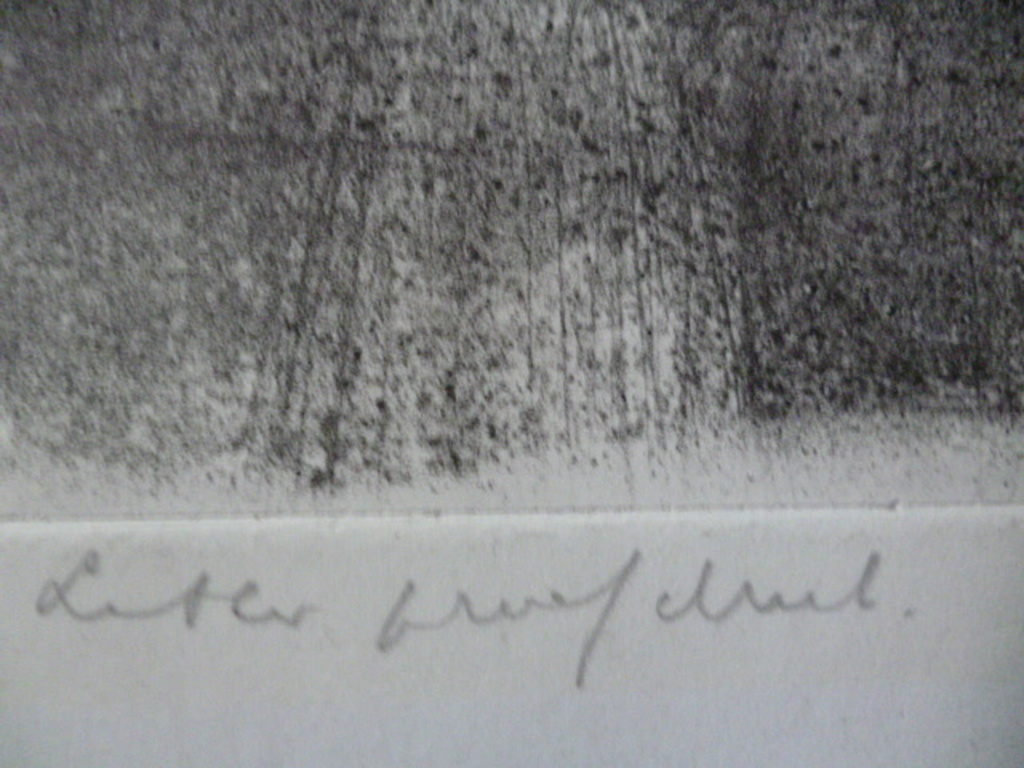 William D. (Dirkje) Kuik - litho - Ruïne Spoorwegmuseum kopen? Bied vanaf 50!