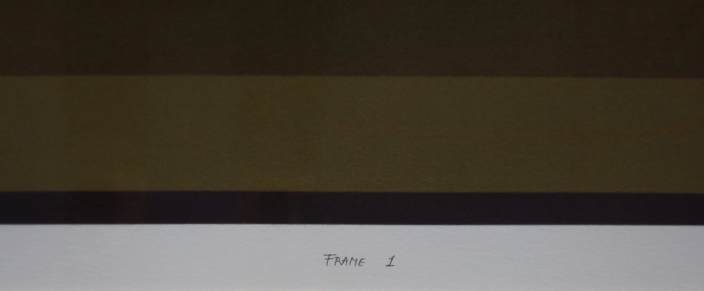 Harald Vlugt: Zeefdruk, Frame 1 -Ingelijst kopen? Bied vanaf 35!