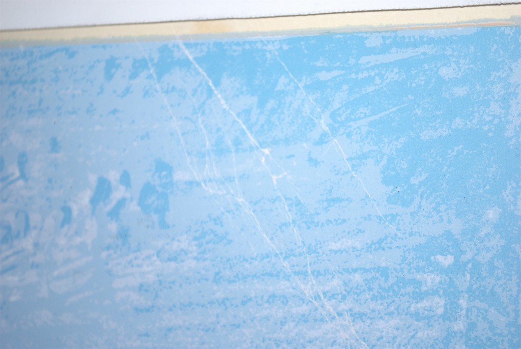 Liggen in het gras- litho uit 1980 -oplage 125 kopen? Bied vanaf 275!