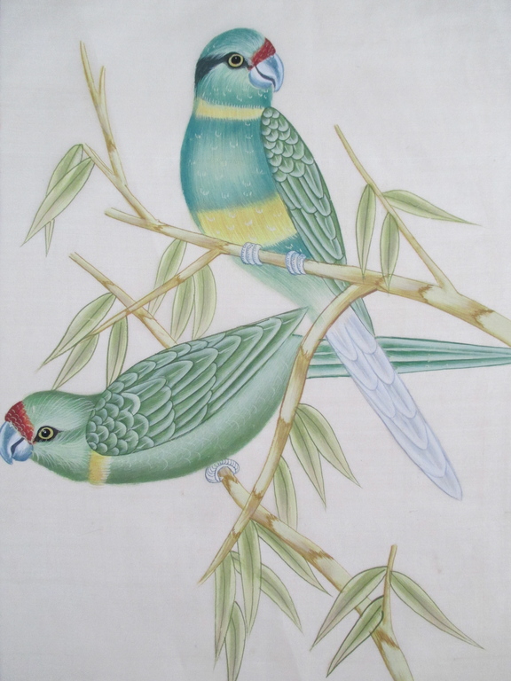 4x Handbeschilderd zijden doek: vogels kopen? Bied vanaf 15!