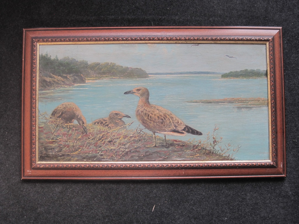 Jo Schrijnder 1894-1968 GROOT olieverf "Meeuwen aan kust" omstreeks 1930 verkocht voor € 35!