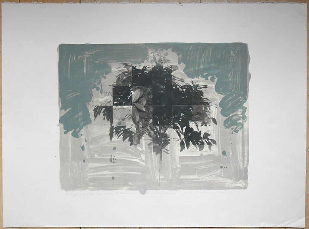 Joseph Cals, hommage aan Graham Sutherland, 1980, litho kopen? Bied vanaf 25!