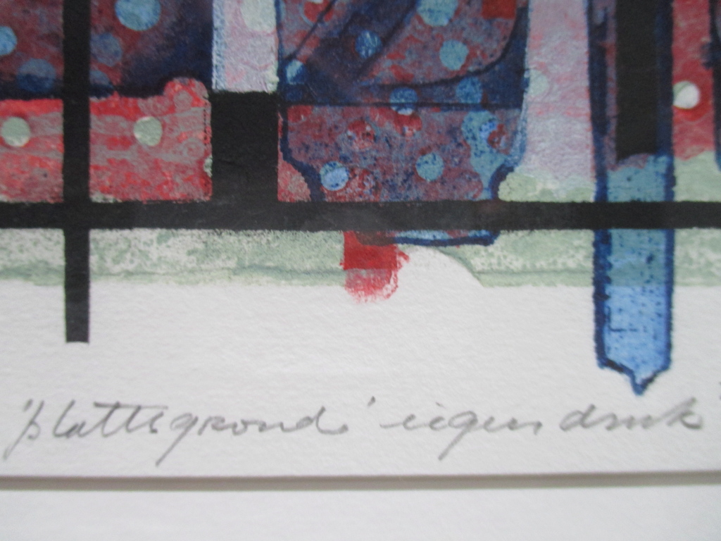 Anne Huitema, mooi gelijste kleurenets, "Plattegrond" kopen? Bied vanaf 40!