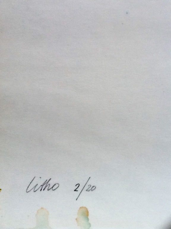 Gerard J Vollenbrock, lithografie/aquarel, Vallende Tulpen kopen? Bied vanaf 30!
