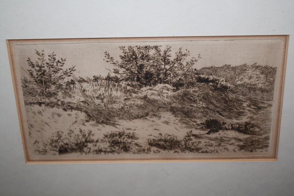 DUINLANDSCHAP  - ETS VAN PIET EGMOND kopen? Bied vanaf 25!