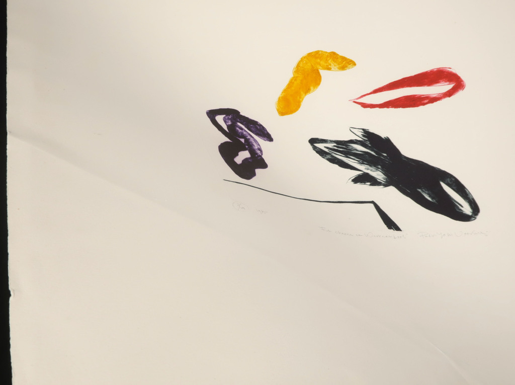 Peter John Voormeij: Kleurets, Fat chance at Warrnambool  kopen? Bied vanaf 1!