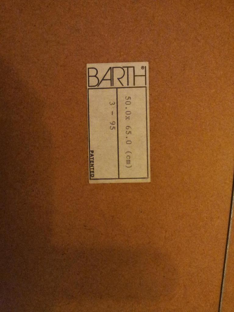 Tijn Roebroeck Gesigneerde Zeefdruk Beatrix Ingelijst Oplage 50 Ex kopen? Bied vanaf 1!