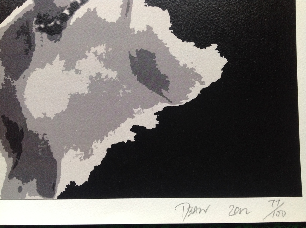 DEATH NYC, Groot formaat Pop Art Print, kopen? Bied vanaf 45!