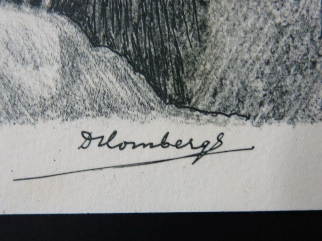 Dirk Homberg: 2x Litho, Bokjes en Zeearend kopen? Bied vanaf 35!