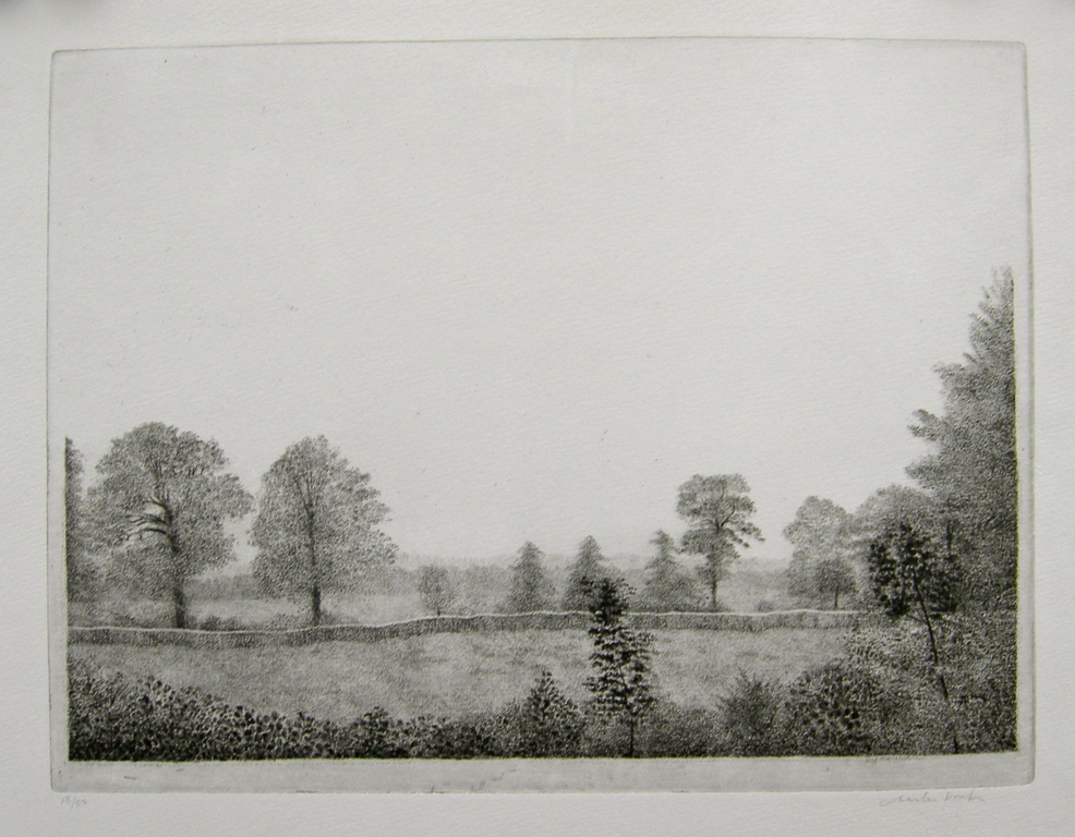 Charles Donker, ets, Rhijnauwen verkocht voor € 180!