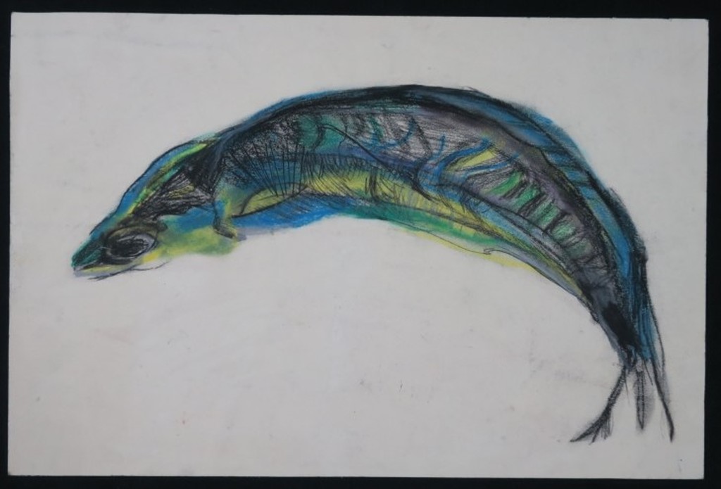 Eve Andrew: Pastelkrijt en potloodtekening, Fish kopen? Bied vanaf 20!