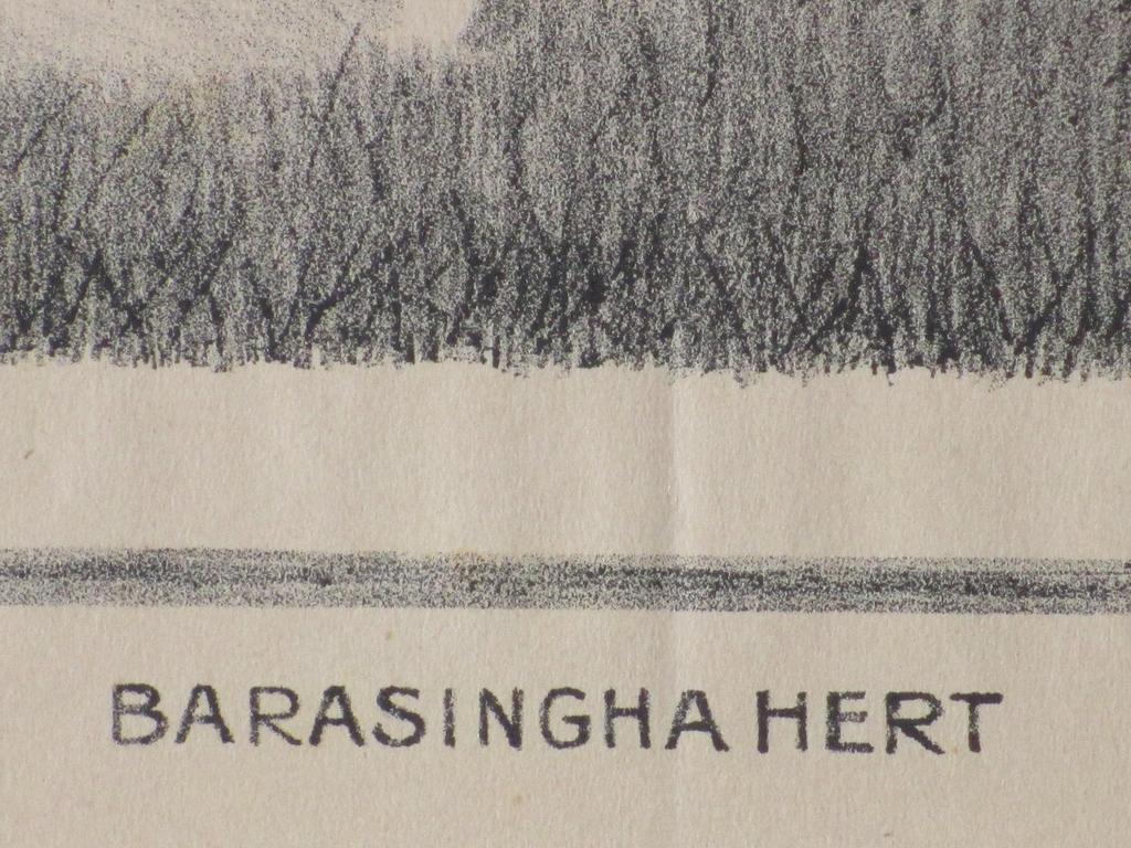 Samuel Jessurun de Mesquita, Barasinga-hert, Litho 1916- kopen? Bied vanaf 80!